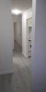 1 Bedroom Apartment - Photo 3