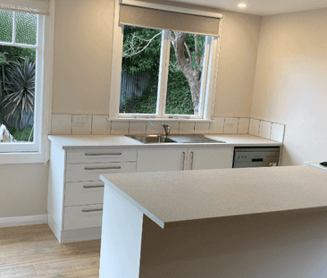 Family Home in the CBD! Walk to town! - Photo 5