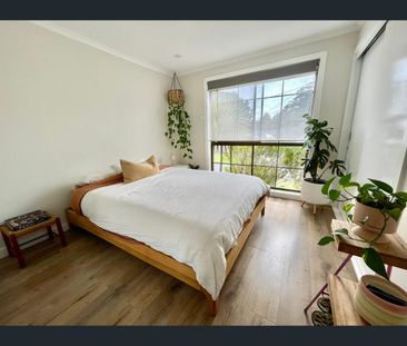 5/1A Jean Street, Cheltenham, Vic 3192 - Photo 1