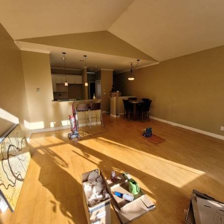 3 bedroom, 2 bathroom suite, available February! - Photo 4