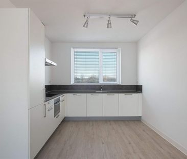 Maison familiale Rangeerder, Amersfoort - À louer - Photo 4