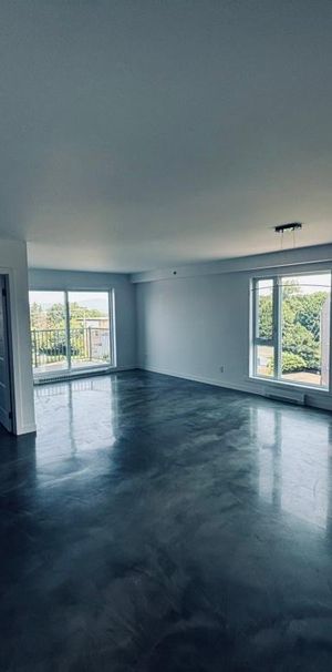 Libre, Penthouse , Lévis centre-ville 3 1/2+ - Photo 1