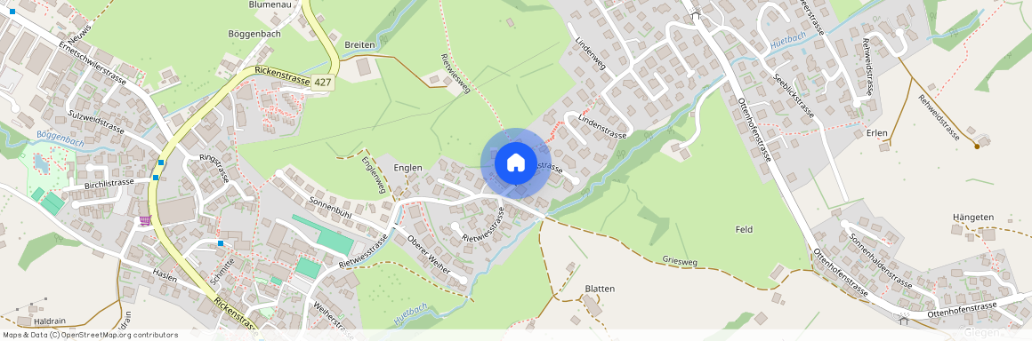 8737, Gommiswald, Rietwiesstrasse, 49