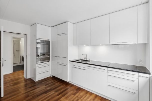 Modern apartment in the immediate vicinity of the Schaffhauserplatz - Photo 1