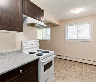Renovated Suite - 2 Bedroom - Photo 4