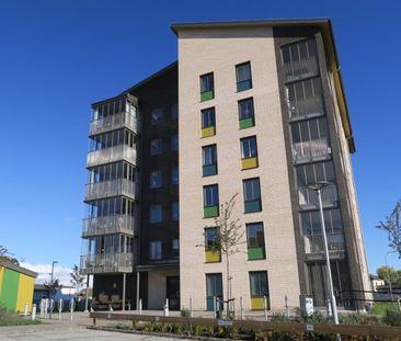 Föreningsgatan 37 - Photo 3