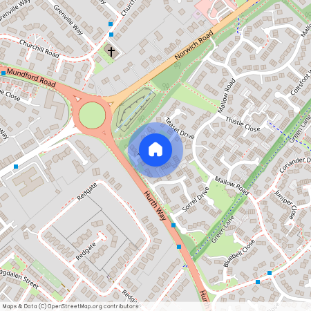Teasel Drive, Thetford, IP24