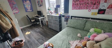 167 Richmond Road, Roath, Cardiff, CF24 3BT - Photo 4