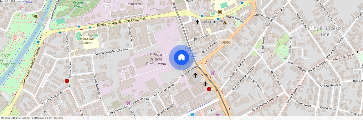 Timis, Timisoara