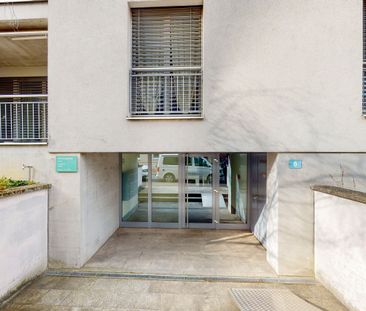 Living on the Rhine River - Photo 6