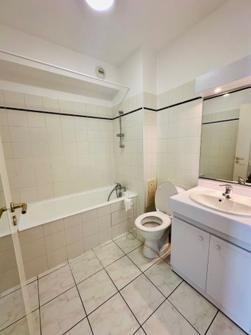 Location Appartement 1 pièce 29m² LIMOGES 87000 - Photo 3
