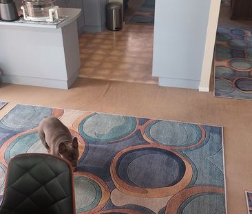 Glenmore Park - Photo 1