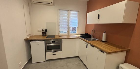 Location Appartement 1 pièce 20m² NICE 06000 - Photo 2
