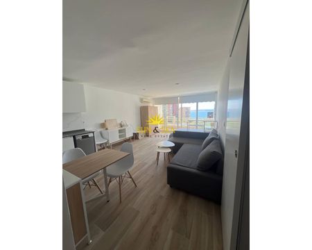 STUDIO IN ALICANTE - Photo 2