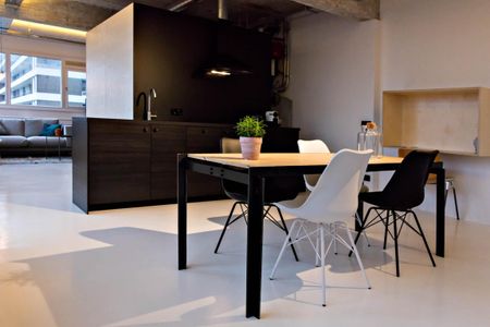 Te huur: Appartement Professor Pieter Willemsstraat in Maastricht - Photo 4