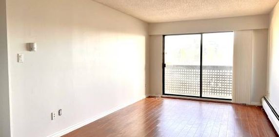 Bright 2 bedroom apartment with patio - Photo 2