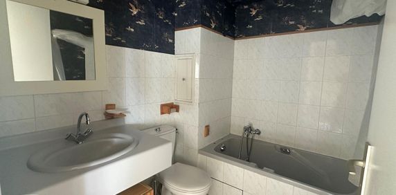 Location Appartement 1 pièce 19m² BLOIS 41000 - Photo 2