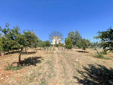 Μεζονέτα για ενοικίαση Κέντρο (Βαρνάβας) - Photo 4