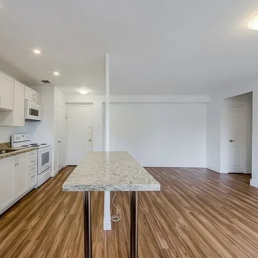 1 Bedroom Suite Steps from U of T - Photo 1