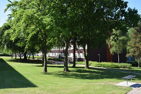 Afd. 29 Vangdalparken - Foto 4