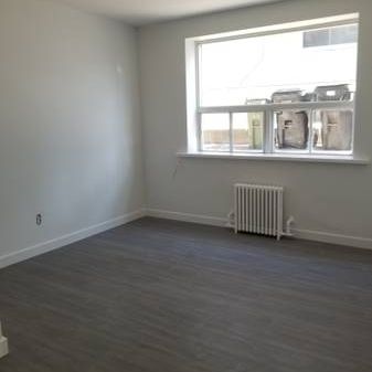 Newly Renovated 1 Bedroom Available Mortimer/ Coxwell - Photo 3