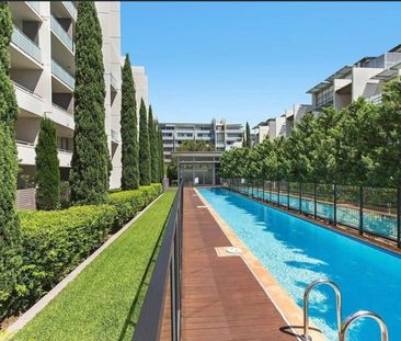 Rosebery - Photo 5