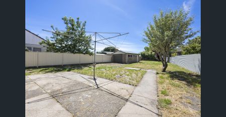 Neat as a Pin Residential House in Sebastopol - Photo 4