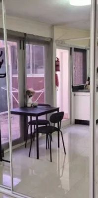 7A Harvey St, Sydney - Photo 1