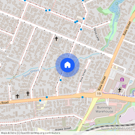 15 Nikau Street, New Lynn, Waitakere City