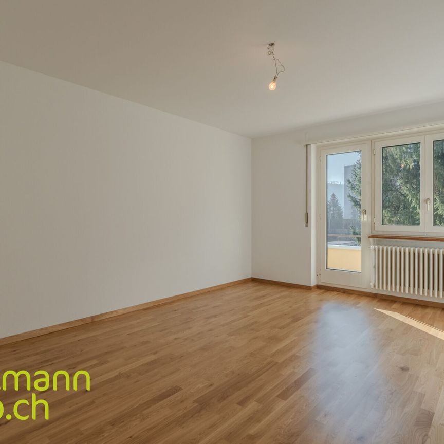 3.5 room apartment / 3.5 room apartment - Photo 1