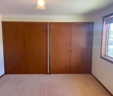 COZY FAMILY HOME ON SOUTH ARMIDALE - Photo 4