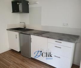 Location Appartement 1 pièce 17m² LAVAL 53000 - Photo 4