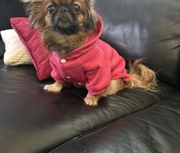 Västerås - 3rok - tillsv - 13.800kr/mån - Foto 3