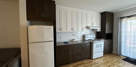 Appartement 3 1/2 à louer Quartier Rosemont - Photo 2