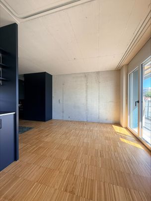 Tolles 2.5 Zimmer Loft im Herzen von Aarau - Foto 1