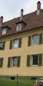 Frisch renoviert! 2,5 Zi-Wohnung mit Ausblick - Foto 4