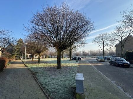 Te huur: Appartement Weezenhof in Nijmegen - Foto 2