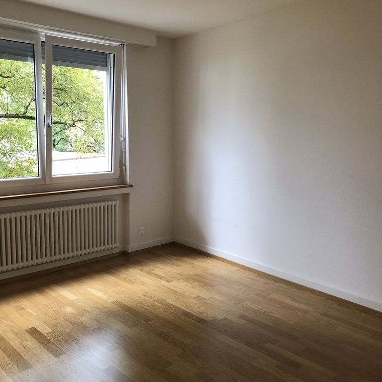 Modernes Wohnen beim Schaffhauserplatz - Foto 1