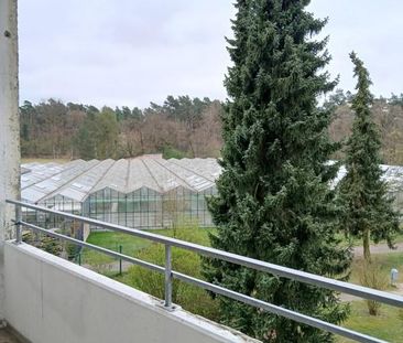 Modernisierte 3-Zimmer Wohnung mit Balkon in Sennestadt - Photo 1