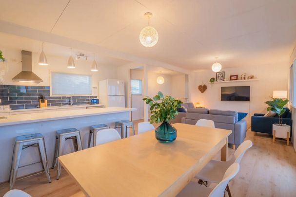 Permanent Holiday Feels - Photo 1