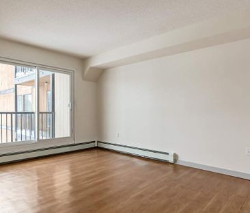 Renovated Suite - 1 Bedroom - Photo 6