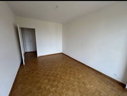 Beau 4 pièces récemment rénové - Foto 1