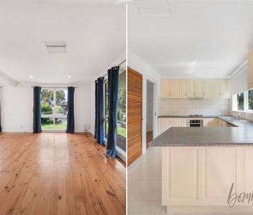 Spacious & Sunlit Living - Photo 3