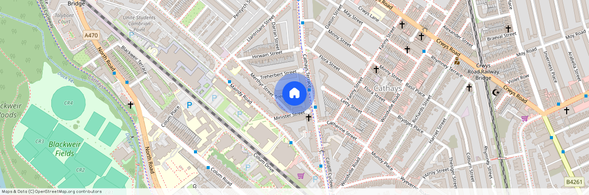 Treorchy Street, CF24 4JP, Cathays