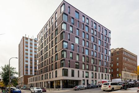 Flex Basic - Gramercy - Photo 3