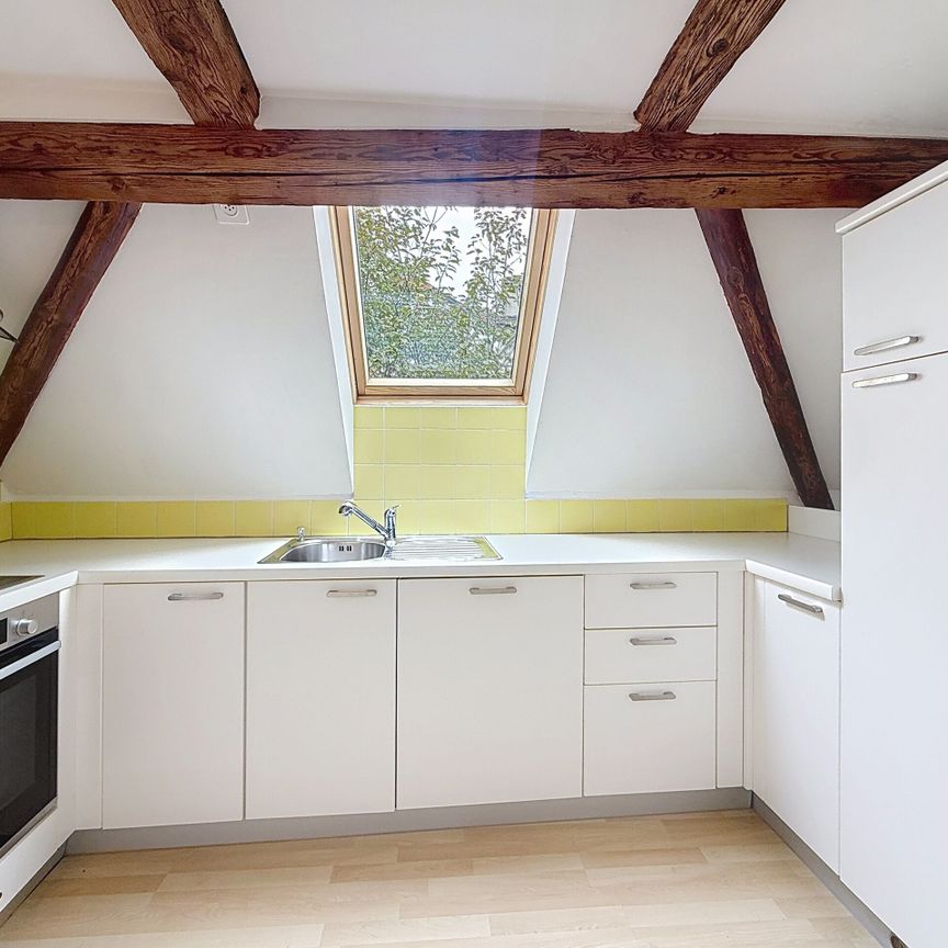 LUMINOUS 3 ½ ROOMS - With a seal in the attic! - Photo 1