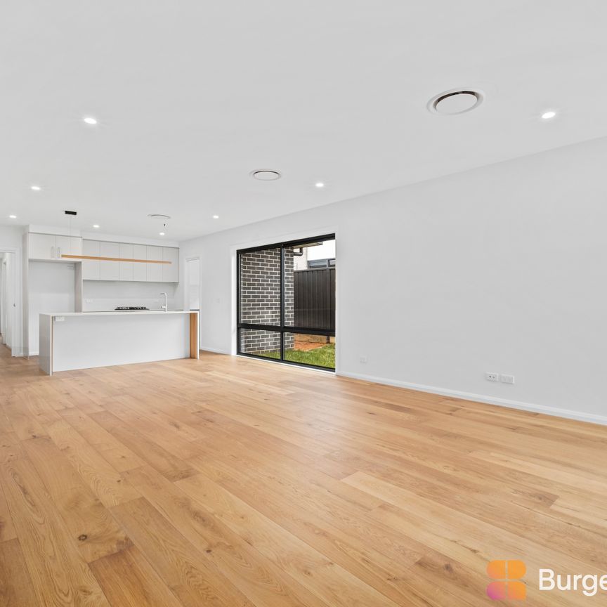 197 Robin Boyd Crescent, Taylor ACT 2913 - House For Rent | Domain - Photo 1