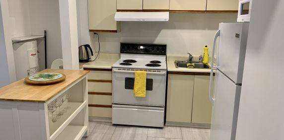 Appartement 3 1/2 Meublé Métro Papineau - Photo 2