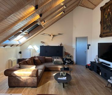 SERSKAMP - Luxueuze loft met groot terras. - Photo 4