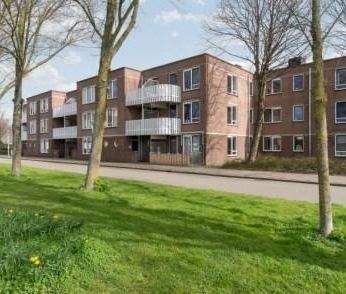 Kreekwaard 0ong, 1824 Alkmaar, Nederland - Photo 2